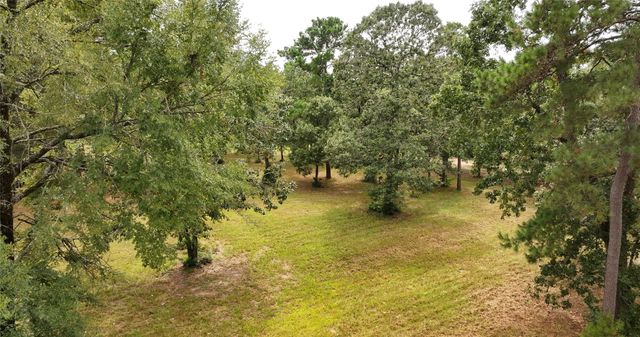 26173 Crown Ranch Boulevard, Montgomery, TX 77316