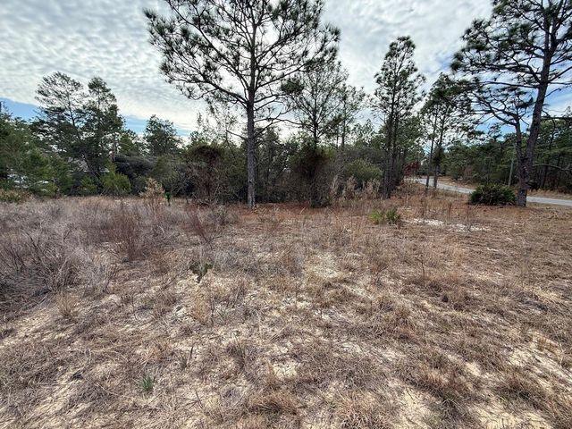 4143 W DORCHESTER CIRCLE, Dunnellon, FL 34433