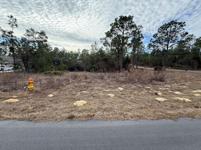 4143 W DORCHESTER CIRCLE, Dunnellon, FL 34433