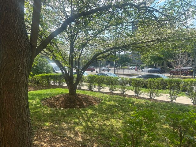1872 Commonwealth Ave 15, Boston, MA 02135