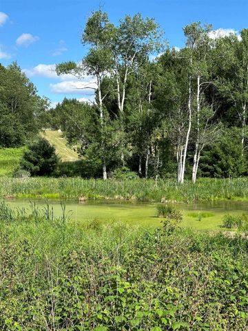 3383 NW Dockery Road, Williamsburg, MI 49690