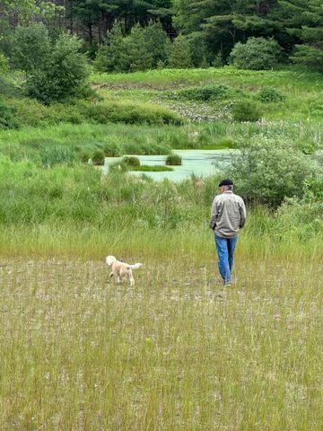 3383 NW Dockery Road, Williamsburg, MI 49690