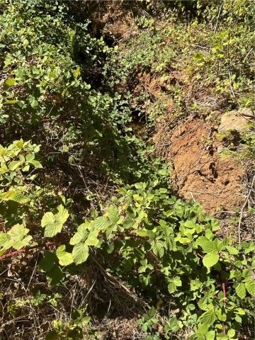 5612 Glen Park, Paradise, CA 95969