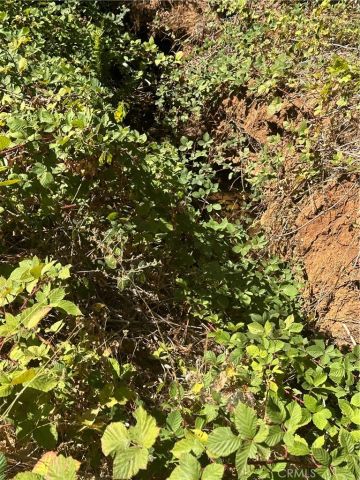 5612 Glen Park, Paradise, CA 95969