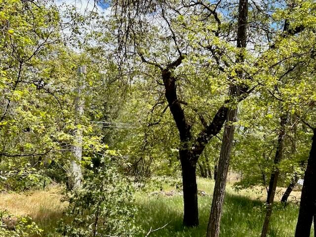 340 Cedar Brook Trail, California Hot Springs, CA 93207