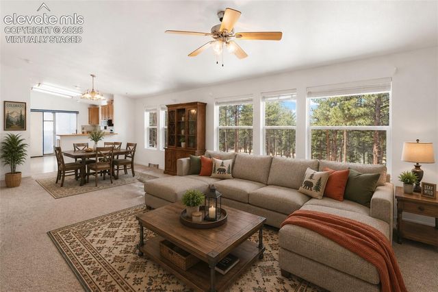 46 Kingston Circle, Florissant, CO 80816