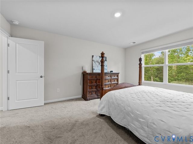 6901 Switch Cane Ct, New Kent, VA 23141