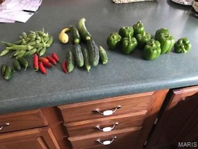 205 County Road 6550, Salem, MO 65560