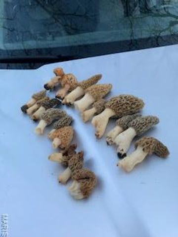 205 County Road 6550, Salem, MO 65560