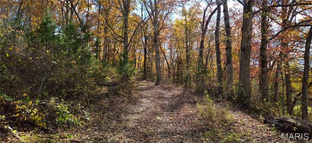 205 County Road 6550, Salem, MO 65560