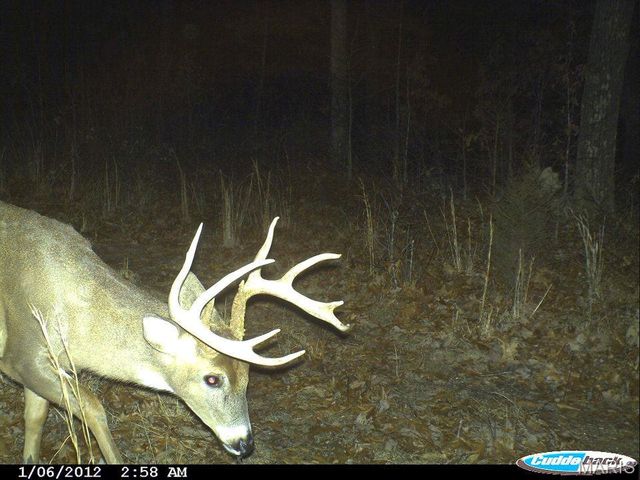 205 County Road 6550, Salem, MO 65560