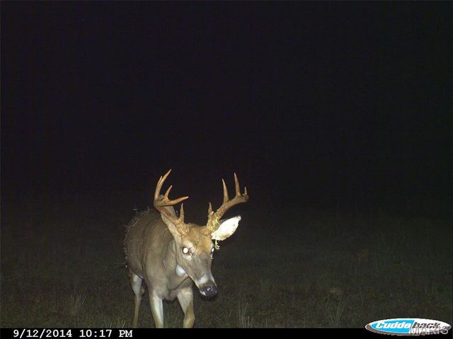 205 County Road 6550, Salem, MO 65560