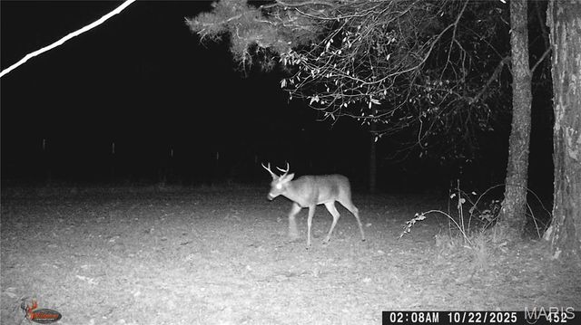 205 County Road 6550, Salem, MO 65560