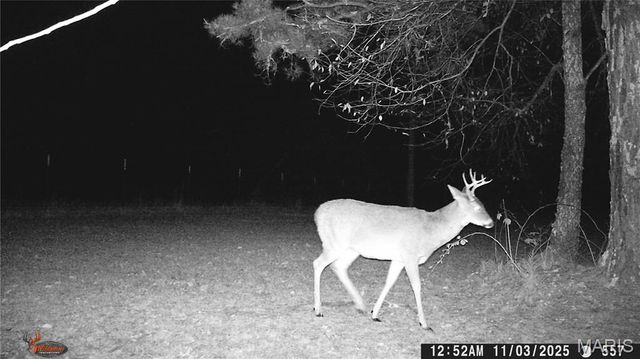 205 County Road 6550, Salem, MO 65560