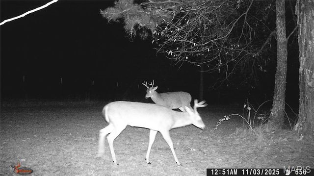 205 County Road 6550, Salem, MO 65560