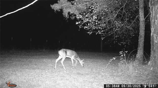 205 County Road 6550, Salem, MO 65560