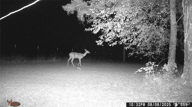 205 County Road 6550, Salem, MO 65560