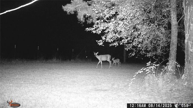 205 County Road 6550, Salem, MO 65560