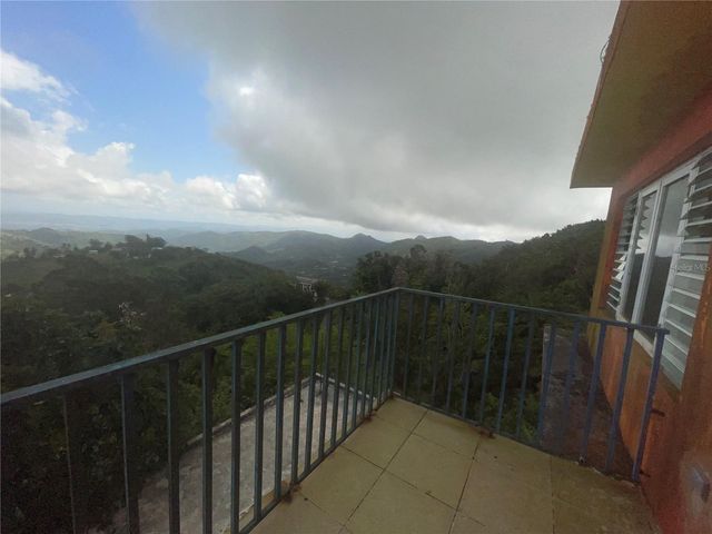 1 LOS PINOS, Cayey, PR 00736