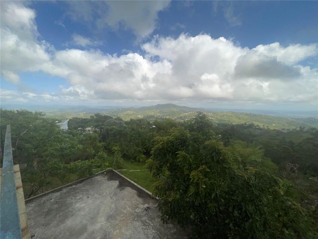 1 LOS PINOS, Cayey, PR 00736