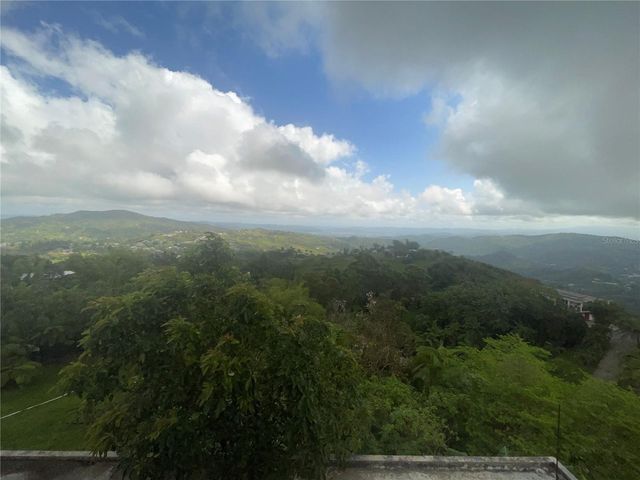 1 LOS PINOS, Cayey, PR 00736