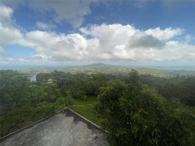 1 LOS PINOS, Cayey, PR 00736