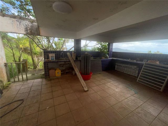 1 LOS PINOS, Cayey, PR 00736