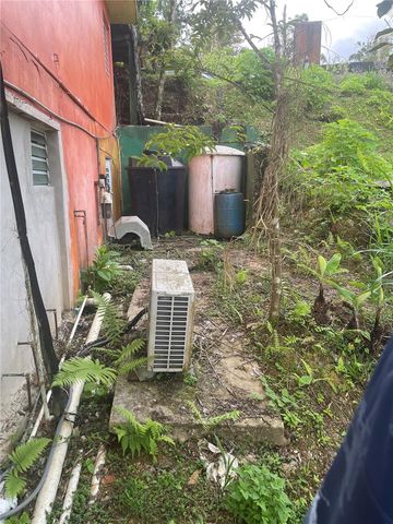 1 LOS PINOS, Cayey, PR 00736