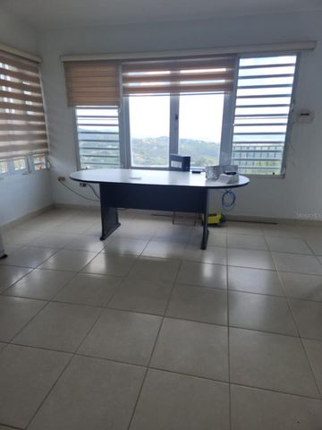 1 LOS PINOS, Cayey, PR 00736