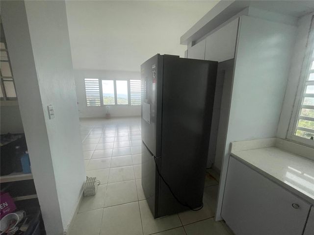 1 LOS PINOS, Cayey, PR 00736