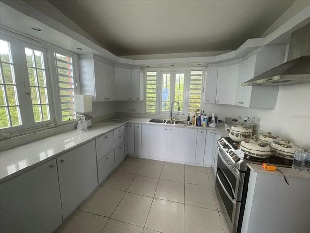 1 LOS PINOS, Cayey, PR 00736