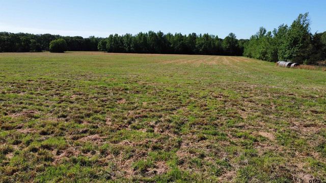 TBD County Road 4930, Quitman, TX 75783