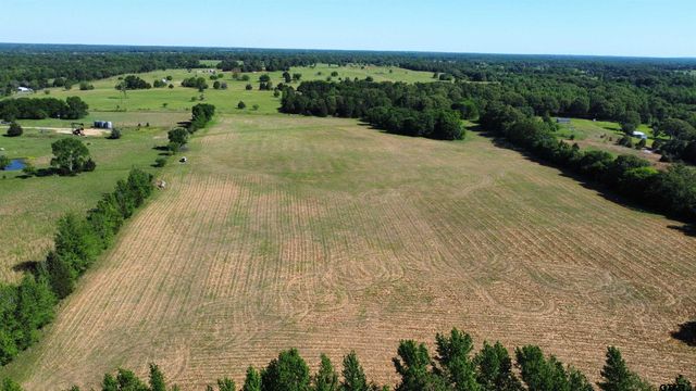 TBD County Road 4930, Quitman, TX 75783