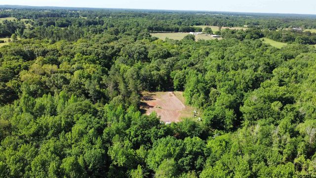 TBD County Road 4930, Quitman, TX 75783