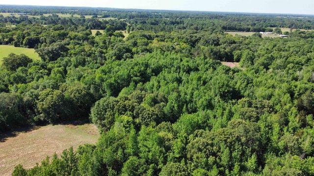 TBD County Road 4930, Quitman, TX 75783