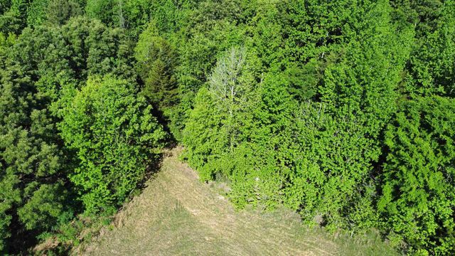 TBD County Road 4930, Quitman, TX 75783