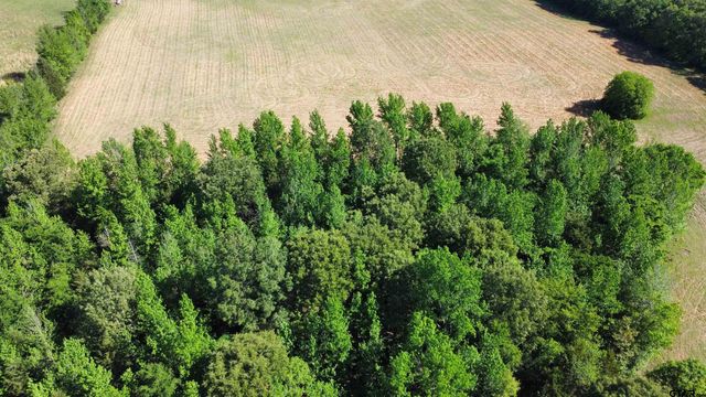 TBD County Road 4930, Quitman, TX 75783