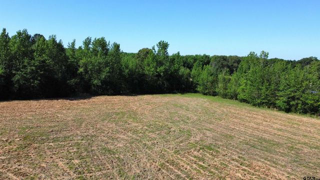 TBD County Road 4930, Quitman, TX 75783