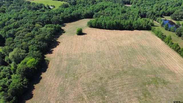 TBD County Road 4930, Quitman, TX 75783