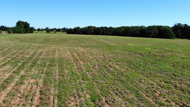 TBD County Road 4930, Quitman, TX 75783