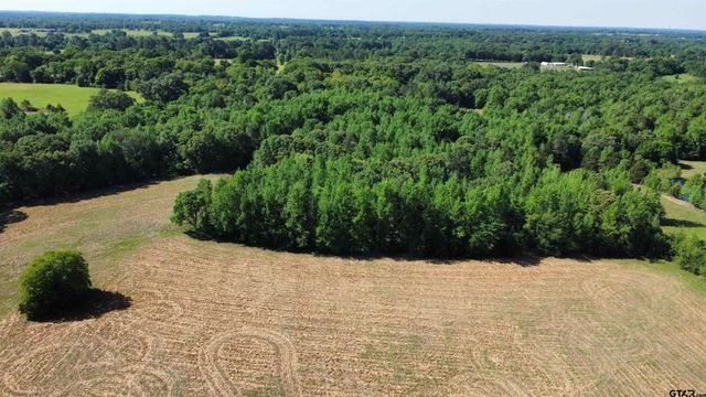 TBD County Road 4930, Quitman, TX 75783