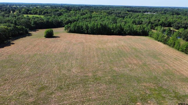TBD County Road 4930, Quitman, TX 75783