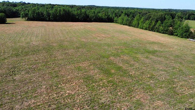 TBD County Road 4930, Quitman, TX 75783