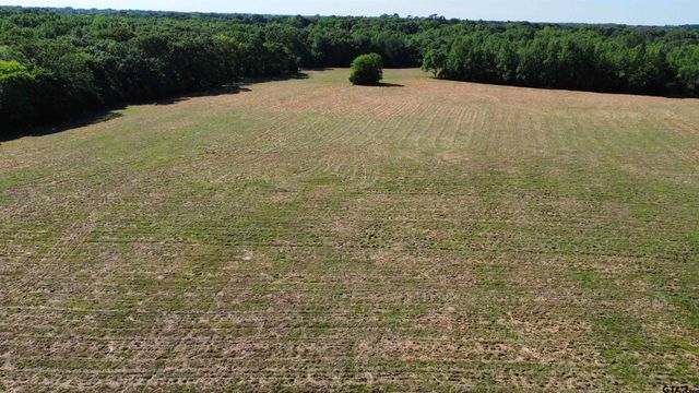 TBD County Road 4930, Quitman, TX 75783