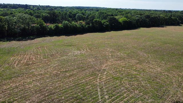 TBD County Road 4930, Quitman, TX 75783