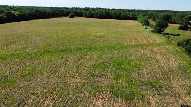 TBD County Road 4930, Quitman, TX 75783