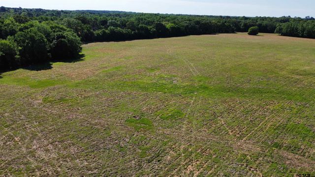 TBD County Road 4930, Quitman, TX 75783