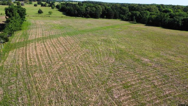TBD County Road 4930, Quitman, TX 75783