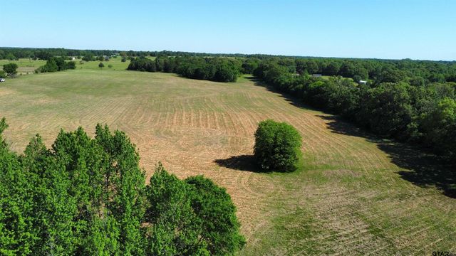 TBD County Road 4930, Quitman, TX 75783