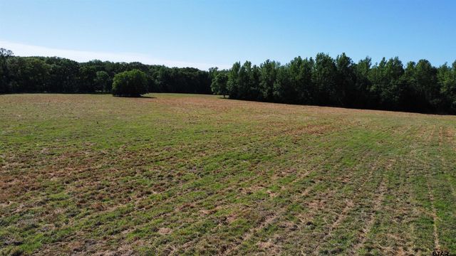 TBD County Road 4930, Quitman, TX 75783